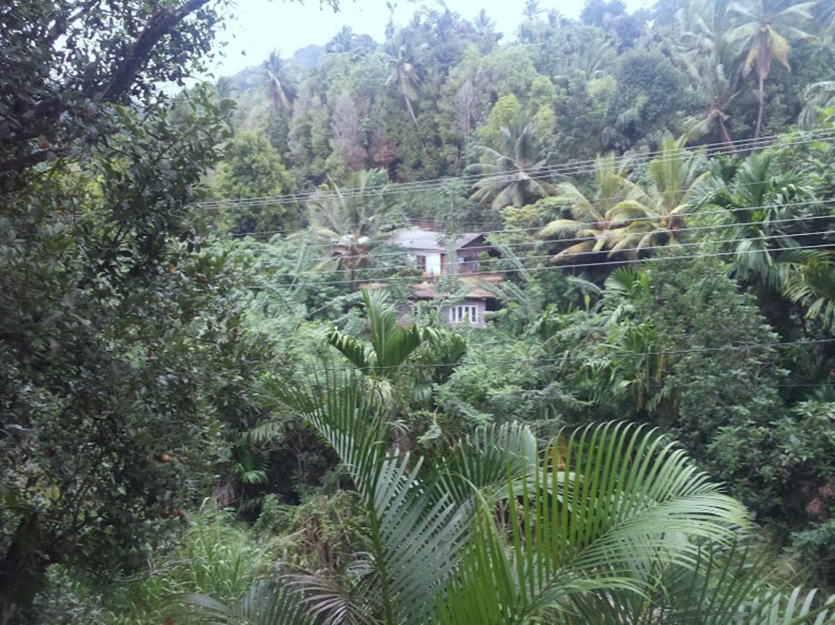 Greenwood Kandy Homestay Exterior photo